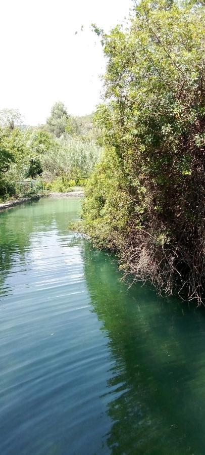 La Viajera Espadan Algimia de Almonacid Luaran gambar